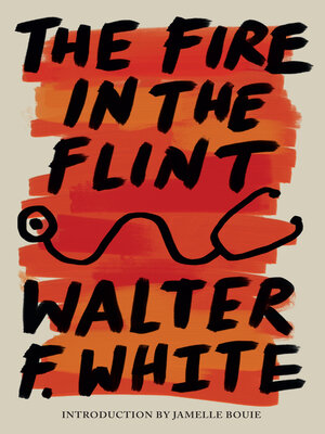 cover image of The Fire in the Flint